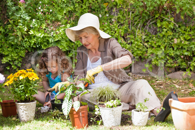 Happy Grandmother with her granddaughter working in the garden