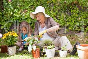 Happy Grandmother with her granddaughter working in the garden