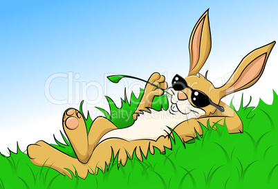 relaxing rabbit
