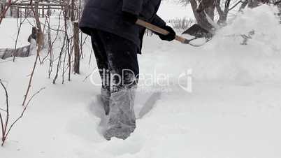Man shoveling mass of snow in winter garden