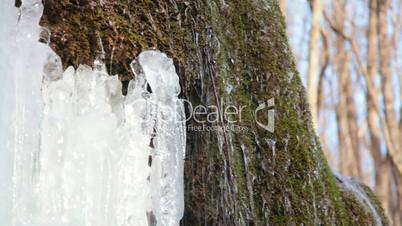 Waterfall and mossy rock in winter