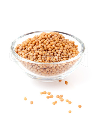 gelbe Senfkörner / mustard seeds