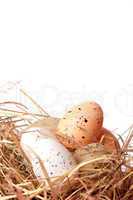 Eier im Nest / eggs in a basket