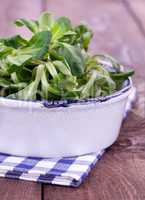 Feldsalat in Schale / corn salad in bowl