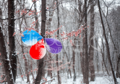 Birthday balloons hanging on the tree