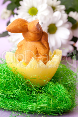 Osterhase im Nest / easter bunny in a basket