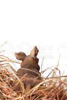 Hase im Nest / bunny in a basket