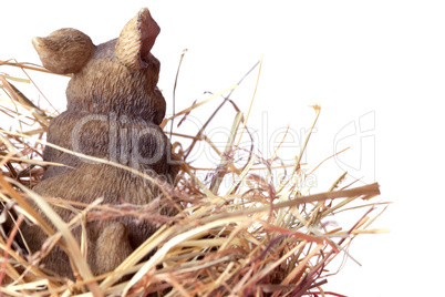 Hase im Stroh / easter bunny in straw