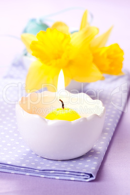 Kerze und Osterglocken / candle and daffodils