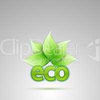 eco with leaves