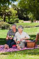 Elderly couple  picnicking in the garden