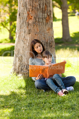 Radiant mother with her daughter looking at their album photo