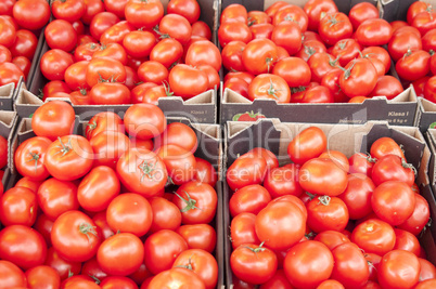 Tomatoes set six