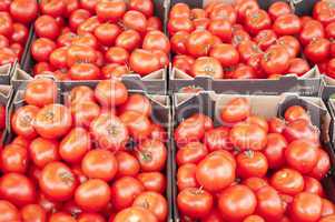 Tomatoes set six