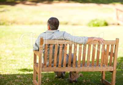 Elderly man sitting on the bench with his back to the camera