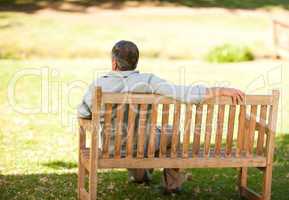 Elderly man sitting on the bench with his back to the camera