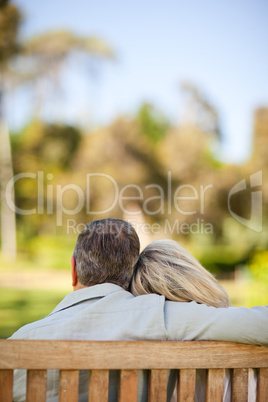 Elderly couple sitting on the bench with their back to the camer