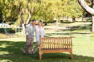 Portrait of a lovely couple behind the bench