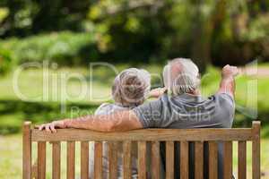 Couple sitting on the bench  with their back to the camera