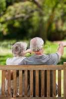 Couple sitting on the bench  with their back to the camera