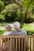 Couple sitting on the bench  with their back to the camera