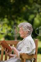 Reired woman reading a book on the  bench