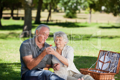 Retired couple  picnicking in the garden