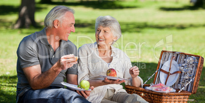 Retired couple  picnicking in the garden