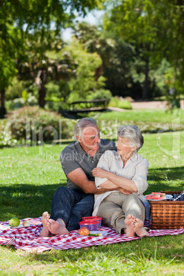 Mature couple  picnicking in the garden