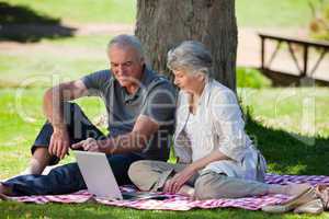 Mature couple  picnicking in the garden