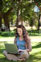 Woman working on her laptop