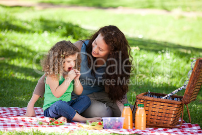 Mother and her daughter picnicking