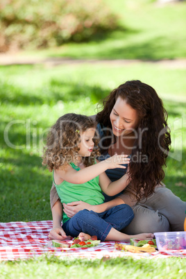 Mother and her daughter picnicking