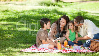 Family  picnicking together
