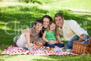 Family  picnicking together