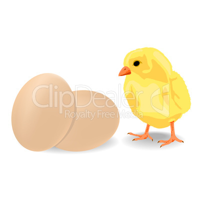 Little chiken with eggs