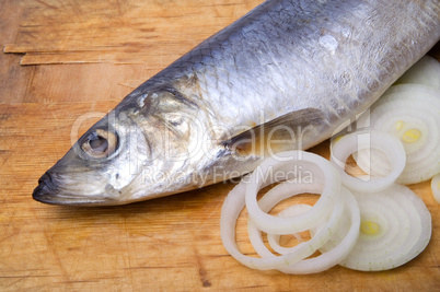Herring with onion