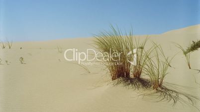 Sand Dunes BG040HD