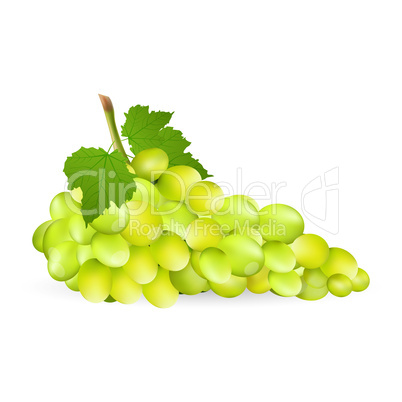 grapes with leaf