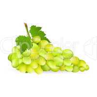 grapes with leaf