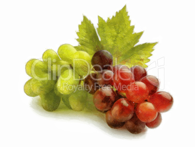 Bunch of white and red grapes
