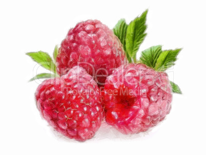 Raspberry - 3 Raspberries