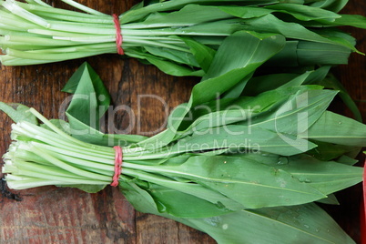 bear garlic