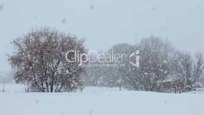 Snow blizzard farm P HD 8654