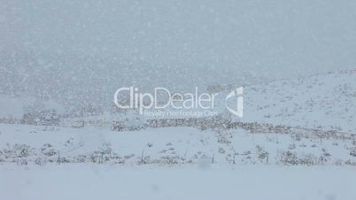 Snow blizzard on farm field hill P HD 8656