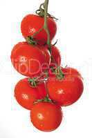 Ripe tomatoes on green branch