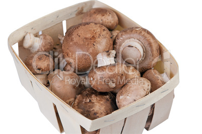 Box with mushrooms