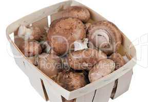 Box with mushrooms