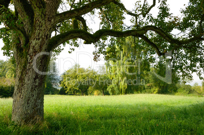 Ruhe ausstrahlende Landschaft