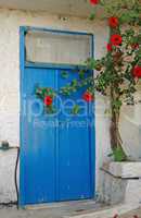Hibiskus an blauer Tür